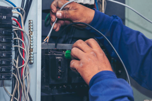 Best Local Electrician Companies  in Mount Pleasant, NC