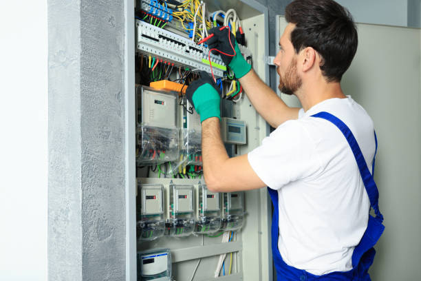 Best Electrical System Inspection  in Mount Pleasant, NC